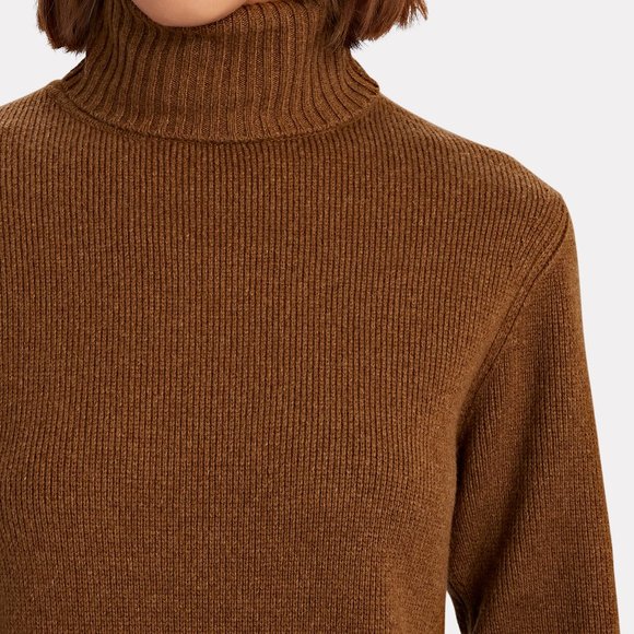 Nili Lotan Everett Wool And Cashmere-blend Mini Turtleneck Dress - Brown - Picture 6 of 7